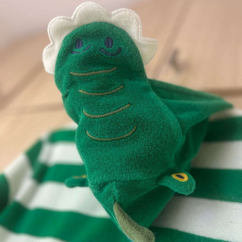 Mini Boden Green and White Striped Poncho towel, swim cover